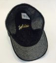 wegenerhat-pic2